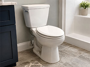 Toilet repair and replacement services
